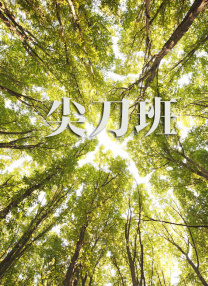 av一区二区三区四区